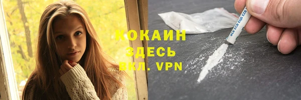 шишки Богданович