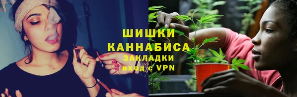 шишки Богданович
