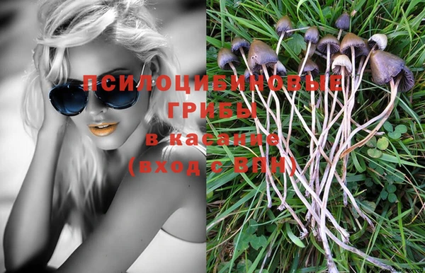 кристаллы Богородицк