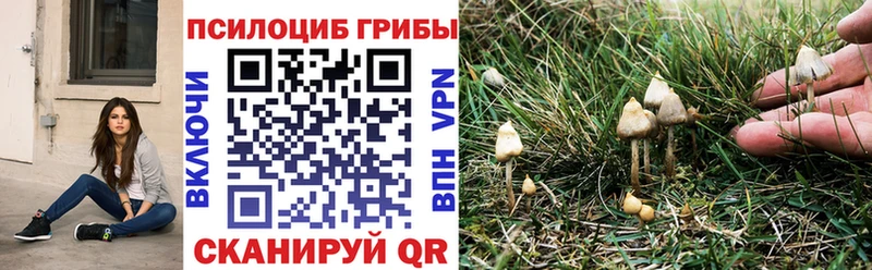 Галлюциногенные грибы мухоморы  даркнет сайт  Кирс 
